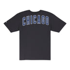 Chicago Cubs Spring Color Collection New Era Charcoal Tee