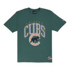 Chicago Cubs Spring Color Collection New Era Teal Tee