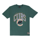 Chicago Cubs Spring Color Collection New Era Teal Tee