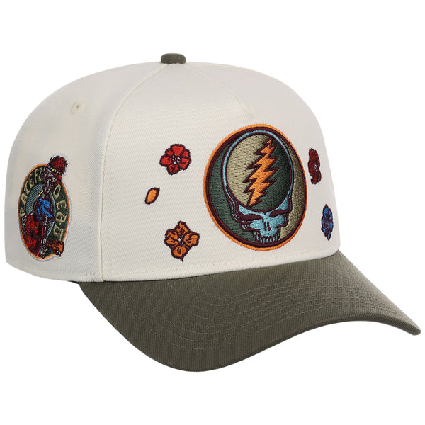 Grateful Dead Dave's Picks SZN 3 A-Frame 'Boise'