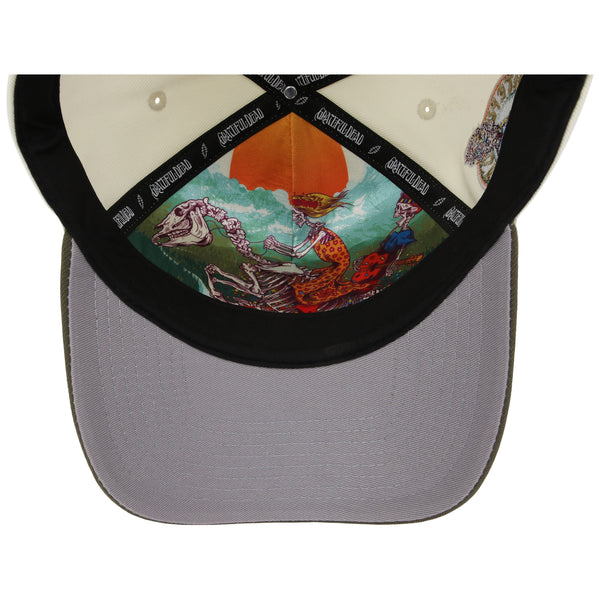 Grateful Dead Dave's Picks SZN 3 A-Frame 'Boise'