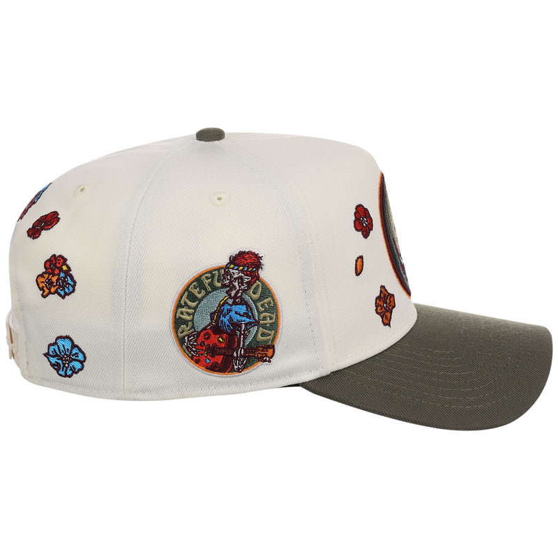 Grateful Dead Dave's Picks SZN 3 A-Frame 'Boise'
