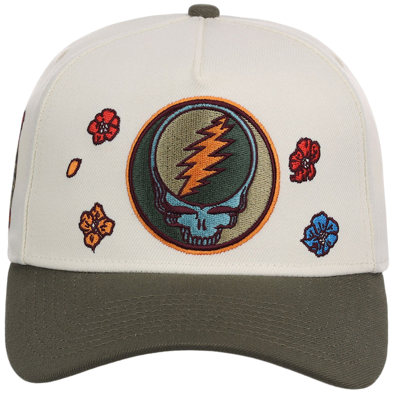 Grateful Dead Dave's Picks SZN 3 A-Frame 'Boise'