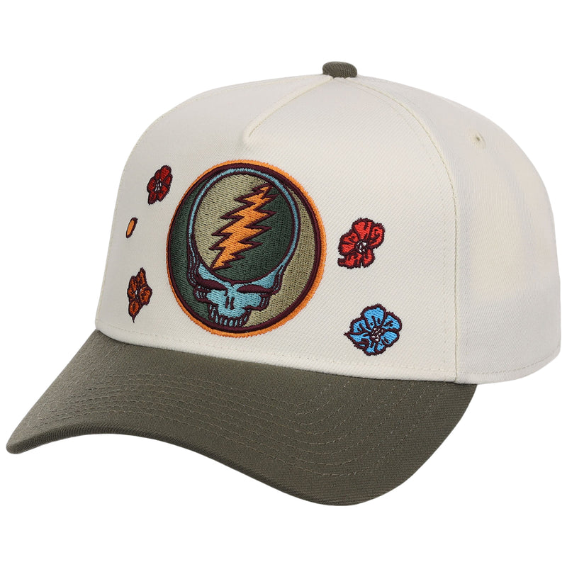 Grateful Dead Dave's Picks SZN 3 A-Frame 'Boise'