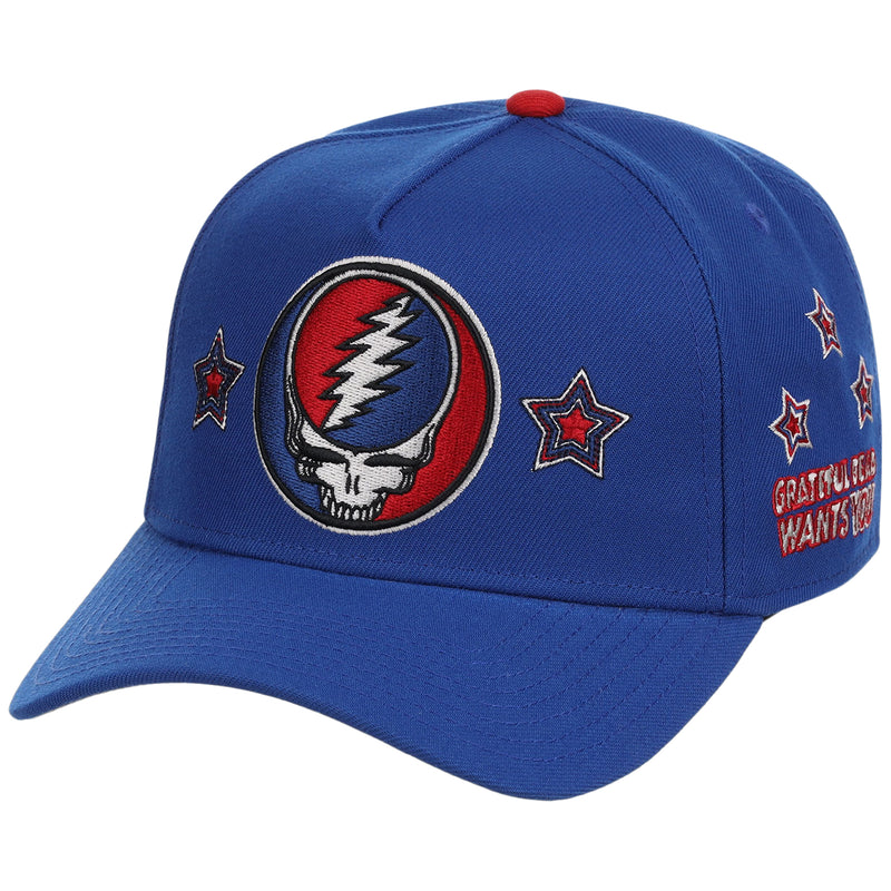 Grateful Dead Dave's Picks SZN 3 A-Frame 'Williamsburg'
