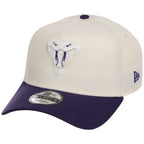 Arizona Diamondbacks MLB Chrome Pop New Era 9FORTY
