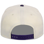 Arizona Diamondbacks MLB Chrome Pop New Era 9FORTY