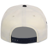 Detroit Tigers MLB Chrome Pop New Era 9FORTY