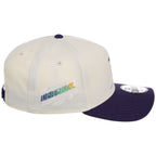 Tampa Bay Rays MLB Chrome Pop New Era 9FORTY