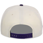 Tampa Bay Rays MLB Chrome Pop New Era 9FORTY