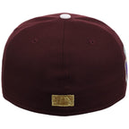 Philadelphia Phillies The MLB “Rooted” New Era 59FIFTY Collection