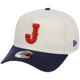 Japan World Baseball Classic Chrome OTC New Era 9FORTY