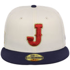 Japan World Baseball Classic Chrome Metallics New Era 59FIFTY