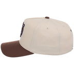 Detroit Tigers MLB Leche Blue Mitchell & Ness Pro Pinch