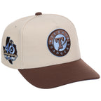 Texas Rangers MLB Leche Blue Mitchell & Ness Pro Pinch