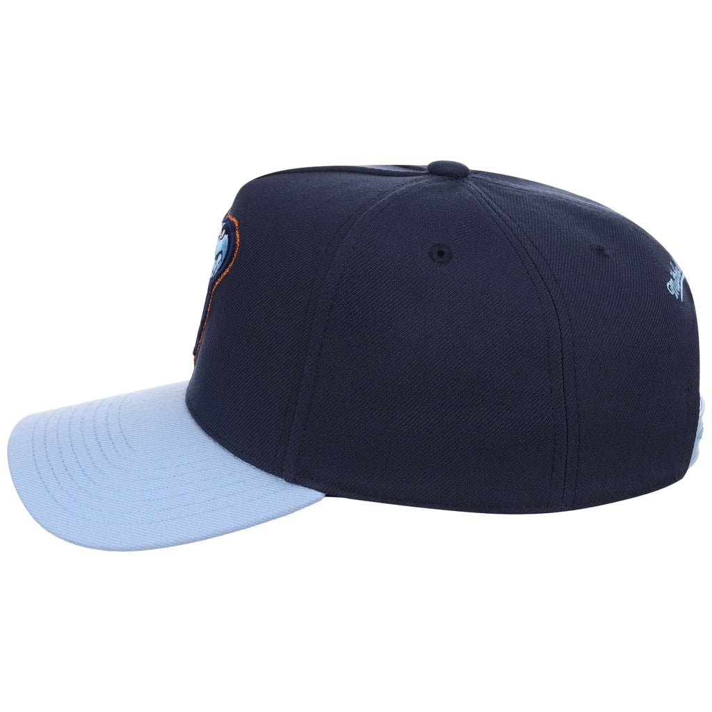 Arizona Diamondbacks MLB Ocean Sky Mitchell & Ness Pro Pinch