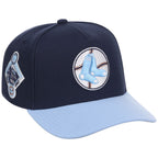 Boston Red Sox MLB Ocean Sky Mitchell & Ness Pro Pinch