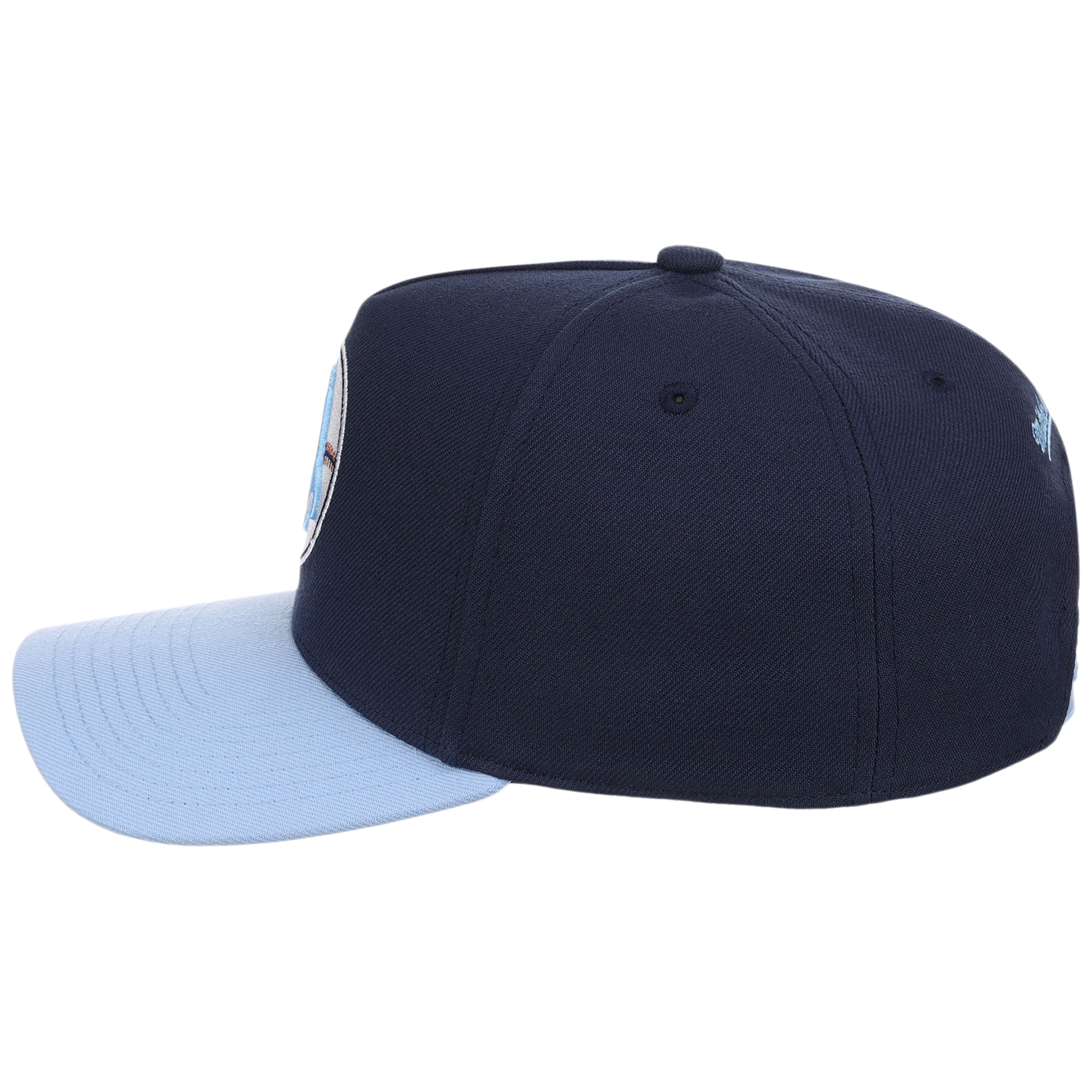 Boston Red Sox MLB Ocean Sky Mitchell & Ness Pro Pinch