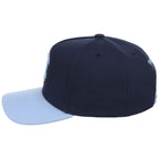 Chicago Cubs MLB Ocean Sky Mitchell & Ness Pro Pinch