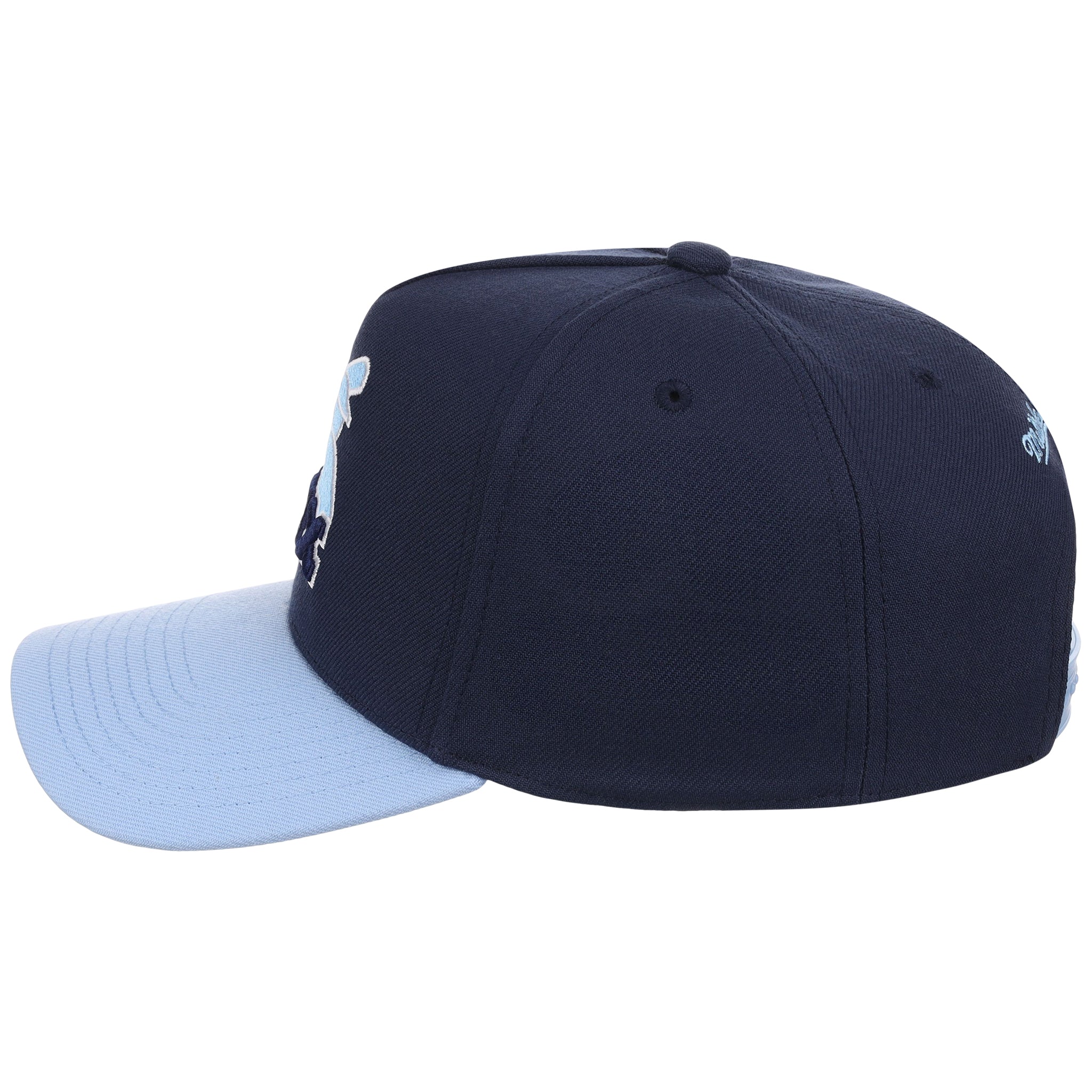 Chicago White Sox MLB Ocean Sky Mitchell & Ness Pro Pinch