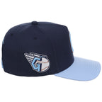 Cleveland Guardians MLB Ocean Sky Mitchell & Ness Pro Pinch