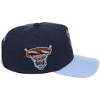 Detroit Tigers MLB Ocean Sky Mitchell & Ness Pro Pinch