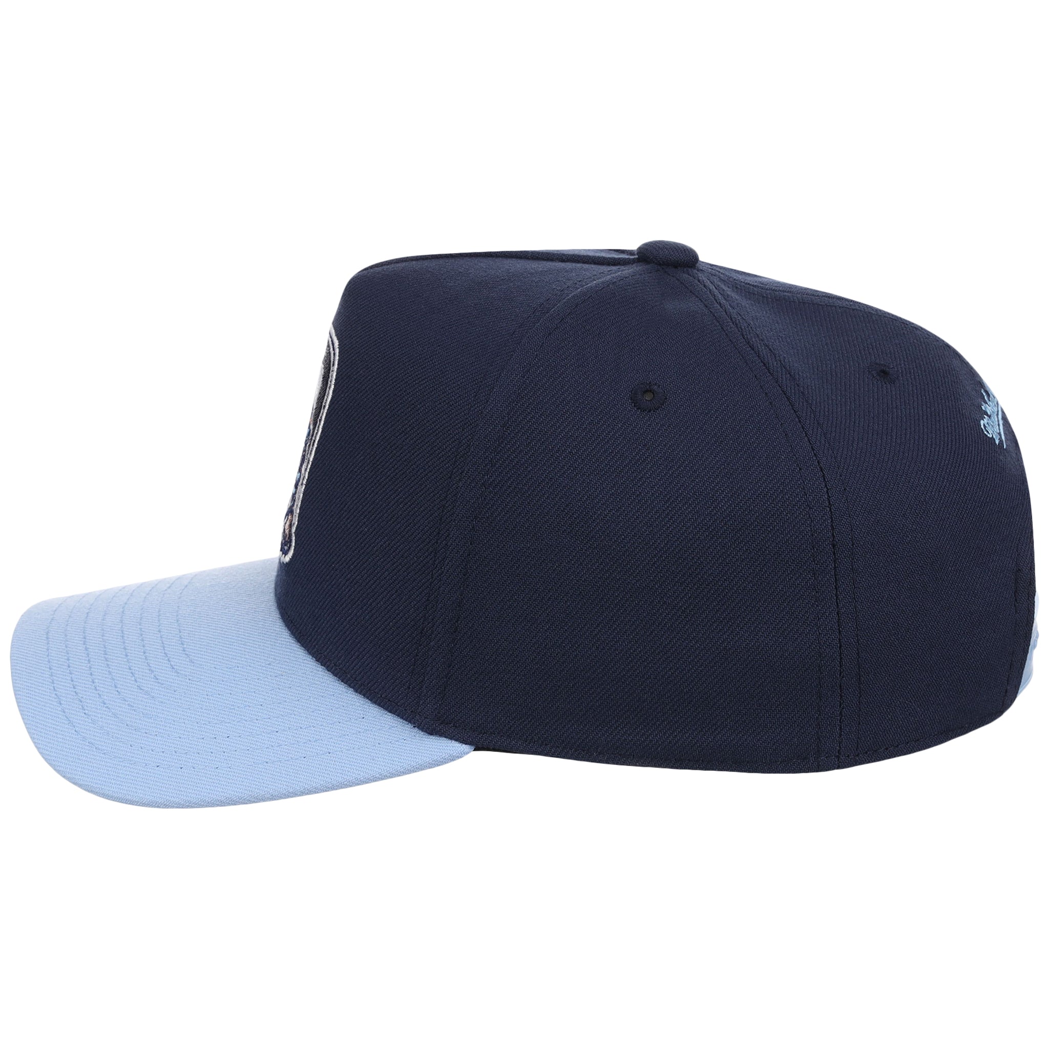 Detroit Tigers MLB Ocean Sky Mitchell & Ness Pro Pinch
