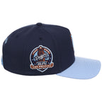 Los Angeles Dodgers MLB Ocean Sky Mitchell & Ness Pro Pinch
