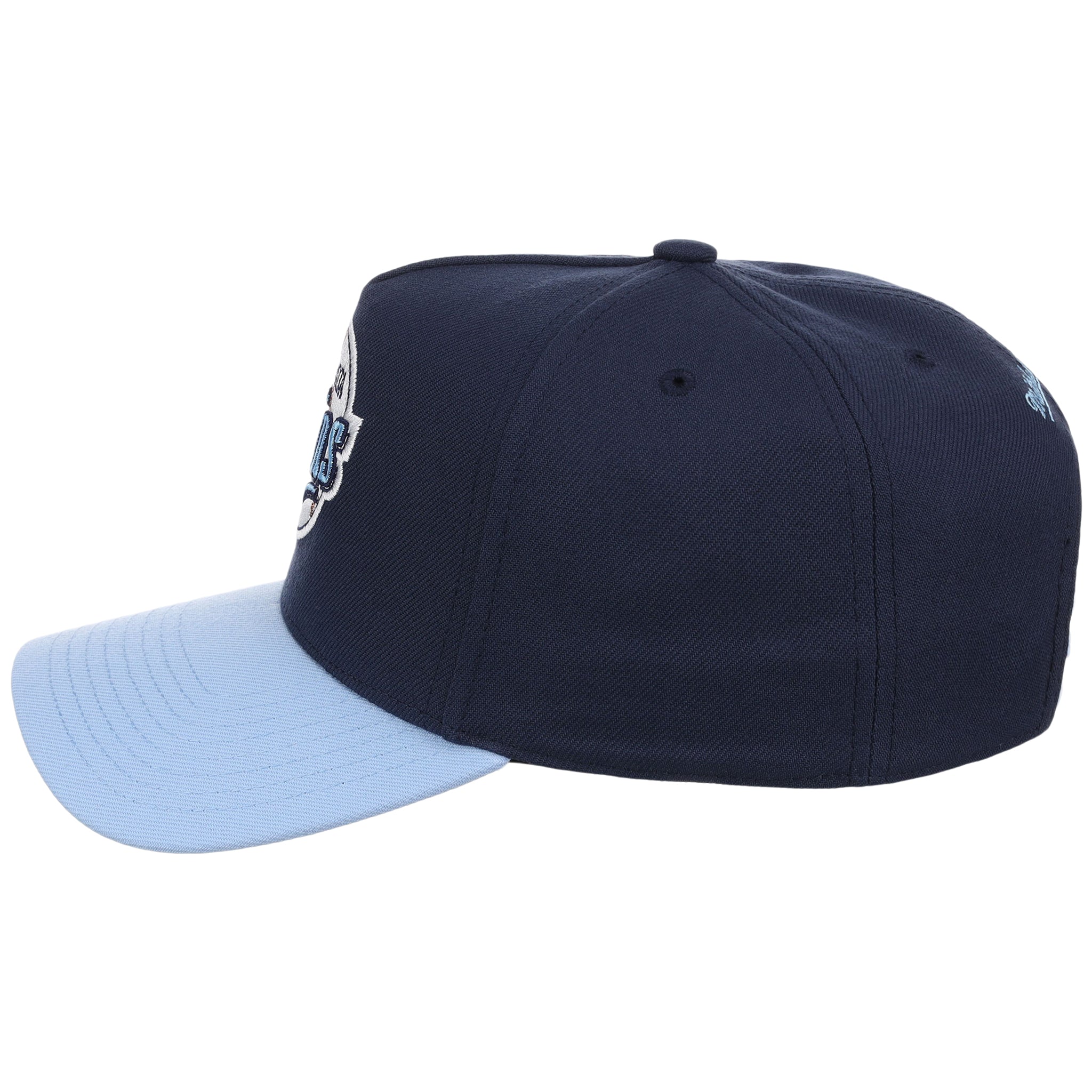 Minnesota Twins MLB Ocean Sky Mitchell & Ness Pro Pinch