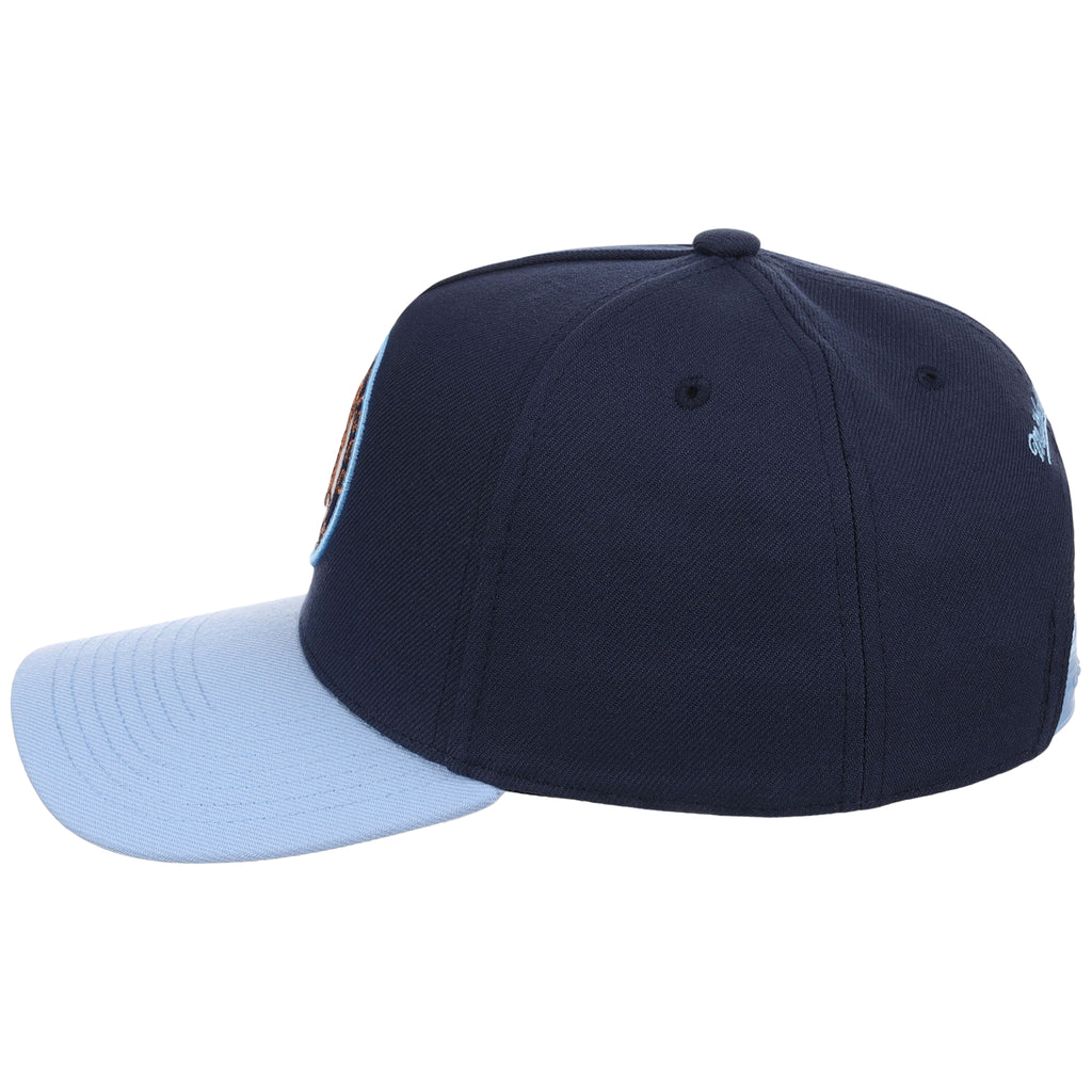 San Francisco Giants MLB Ocean Sky Mitchell & Ness Pro Pinch