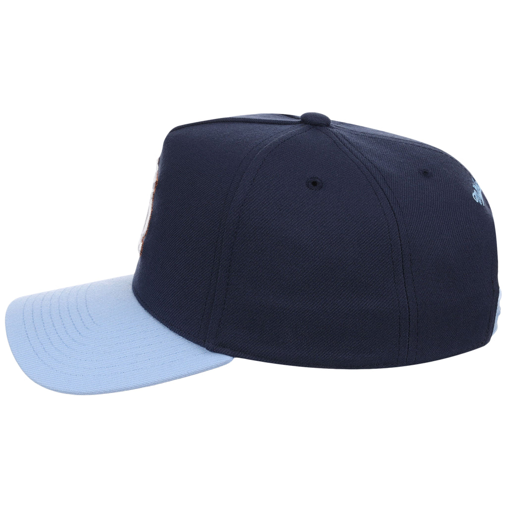 St. Louis Cardinals MLB Ocean Sky Mitchell & Ness Pro Pinch