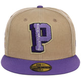 Prairie View A&M Panthers Built by Brilliance New Era 59FIFTY