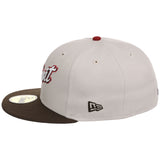Detroit Tigers Detroit Crown the City - Stone Brown 59FIFTY