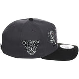 Detroit Tigers Detroit Crown the City 'Double Tiger' - Graphite 9FORTY