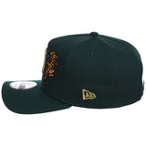 Detroit Tigers Detroit Crown the City 'Double Tiger' - Dark Green 9FORTY