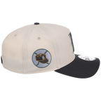 Brooklyn Dodgers MLB Cream Clouds New Era 9FORTY