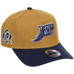 Tampa Bay Rays MLB Dusted Navy New Era 9FORTY