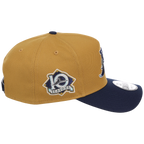 Tampa Bay Rays MLB Dusted Navy New Era 9FORTY