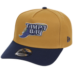 Tampa Bay Rays MLB Dusted Navy New Era 9FORTY