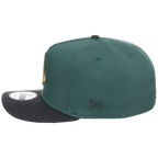 Boston Red Sox MLB Lichen Clouds New Era 9FIFTY