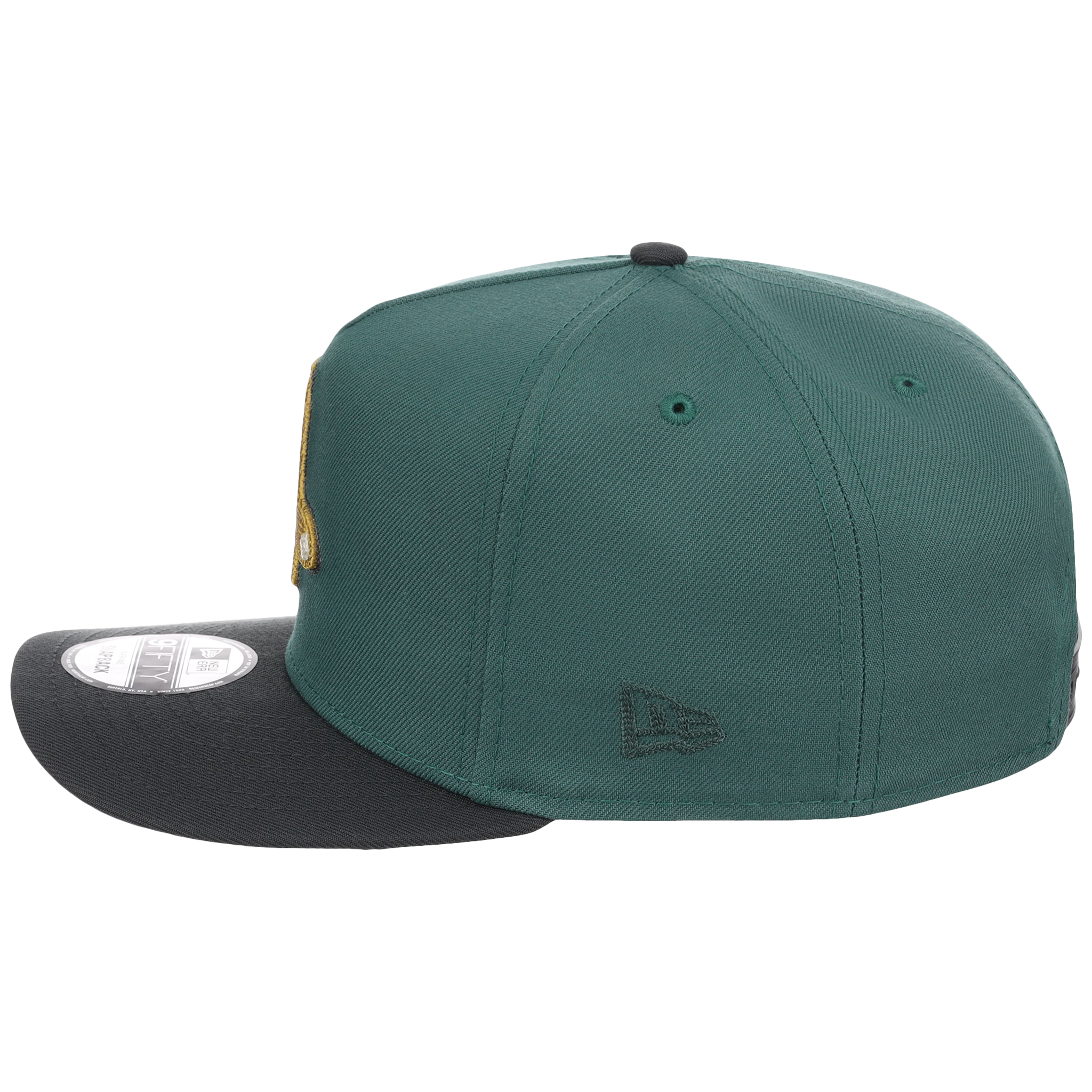 Boston Red Sox MLB Lichen Clouds New Era 9FIFTY