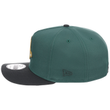 Boston Red Sox MLB Lichen Clouds New Era 9FIFTY