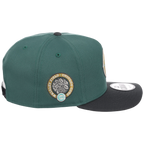 Chicago Cubs MLB Lichen Clouds New Era 9FIFTY