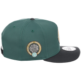 Chicago Cubs MLB Lichen Clouds New Era 9FIFTY