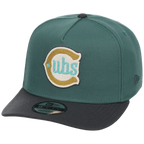 Chicago Cubs MLB Lichen Clouds New Era 9FIFTY
