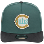 Chicago Cubs MLB Lichen Clouds New Era 9FIFTY