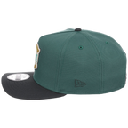 Chicago Cubs MLB Lichen Clouds New Era 9FIFTY