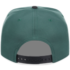 Chicago Cubs MLB Lichen Clouds New Era 9FIFTY