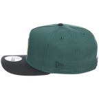 Los Angeles Dodgers MLB Lichen Clouds New Era 9FIFTY