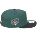 New York Mets MLB Lichen Clouds New Era 9FIFTY